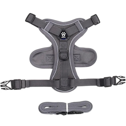 Pet Cat Harness and Leash Set