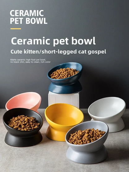 Elevated 15° Tilted Raised Food Feeding Dish Bowl