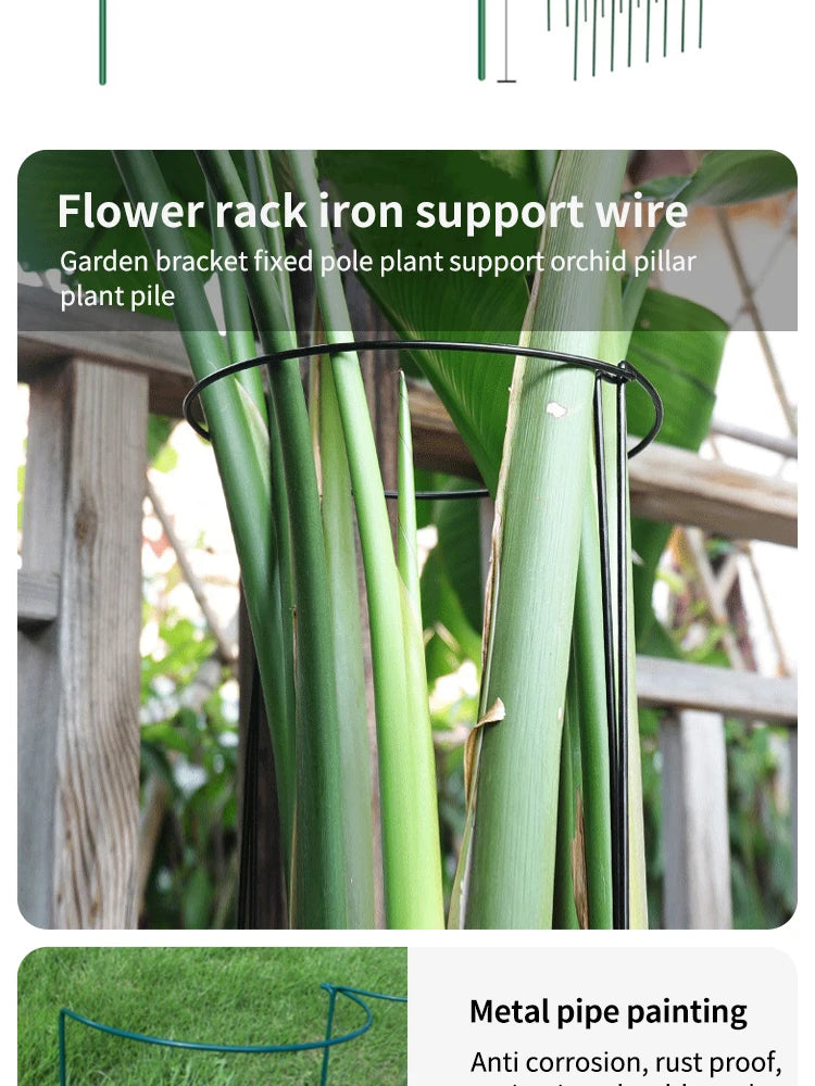 6pcs Tall Plant Support Stakes