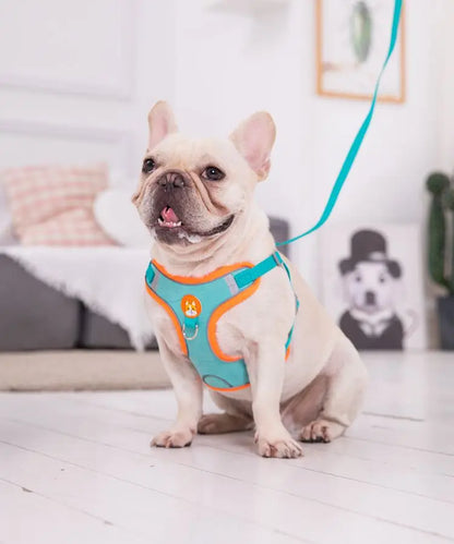 Adjustable No Pull Pet Reflective Harness Leash Set