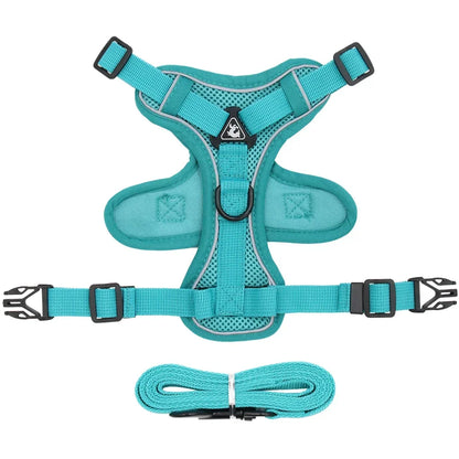 Pet Cat Harness and Leash Set