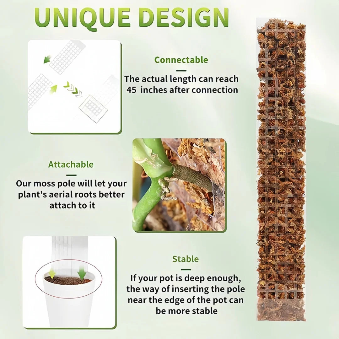 Moss Pole Plastic Plant Stand