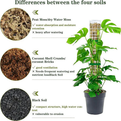 Moss Pole Plastic Plant Stand