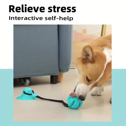 Pet Dogs Grinding Their Teeth Chewing Pet Toys With Sound