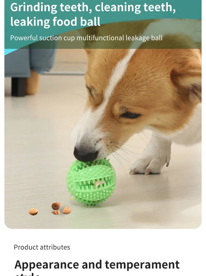 Pet Dogs Grinding Their Teeth Chewing Pet Toys With Sound