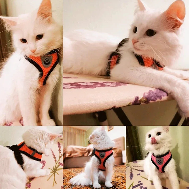 Pet Cat Harness Leash Adjustable