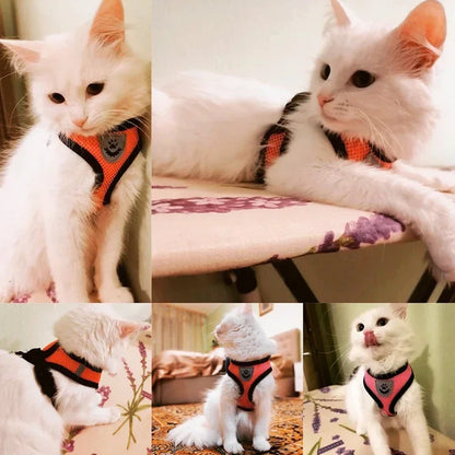 Pet Cat Harness Leash Adjustable