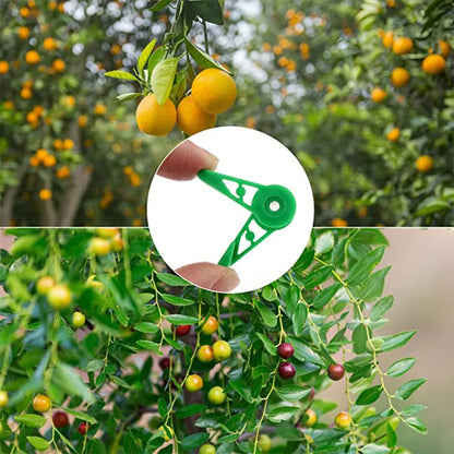 Plant Branches Bender Training Clips