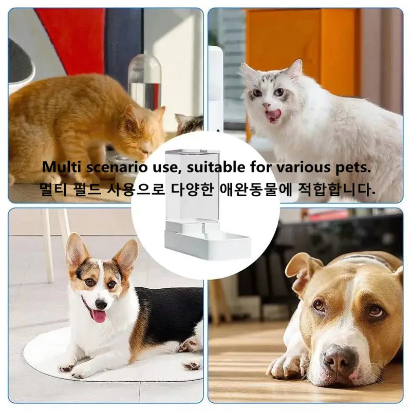 Pet Cat Dog Automatic Feeder Water Bowl High Capacity