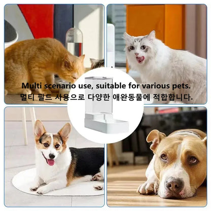 Pet Cat Dog Automatic Feeder Water Bowl High Capacity