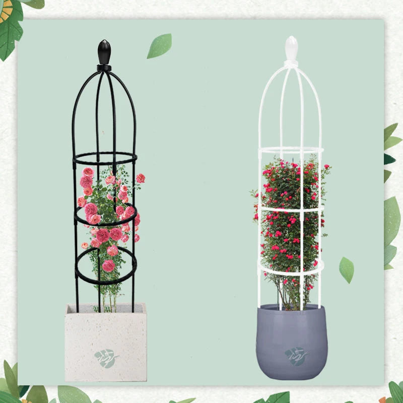 Climbing Plant Trellis Garden Support Cages For Flowers