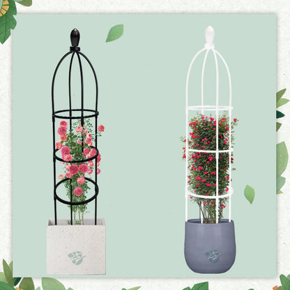 Climbing Plant Trellis Garden Support Cages For Flowers