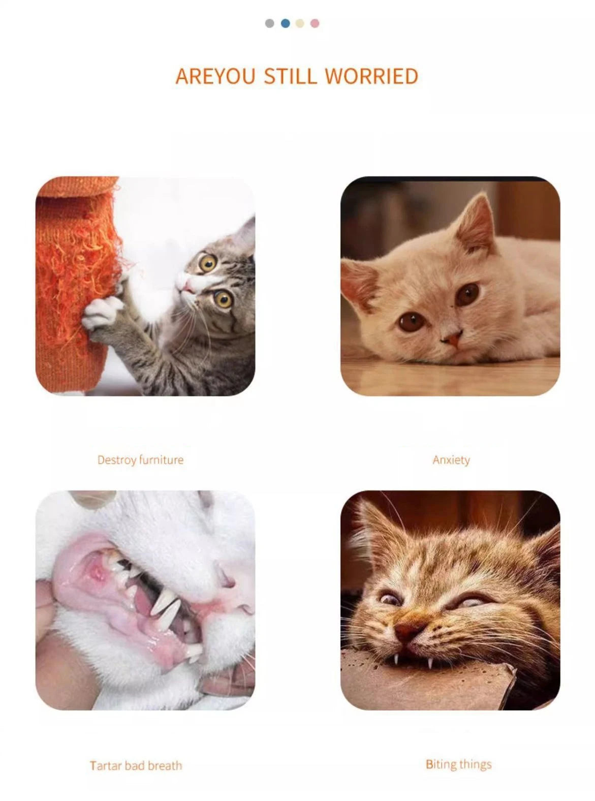 Pet Cat Make Sounds, Carrots, Self-sex, Teething Sticks
