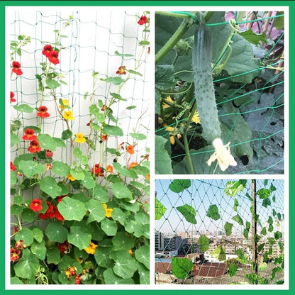Plant Trellis Pergolas, Heavy-Duty Polyester Grow Net