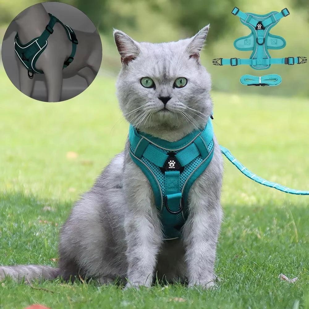Pet Cat Harness and Leash Set