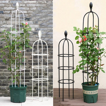 Climbing Plant Trellis Garden Support Cages For Flowers