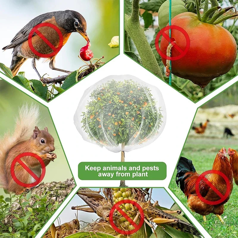 Large Fruits Tree Netting Cover with Zipper