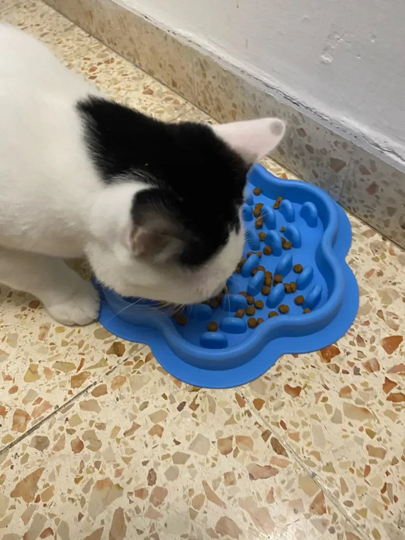 Pet Cat Dog Slow Food Bowls With Suction Cup