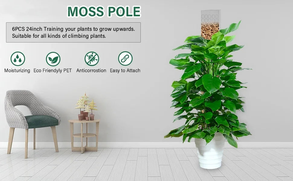 Moss Pole Plastic Plant Stand