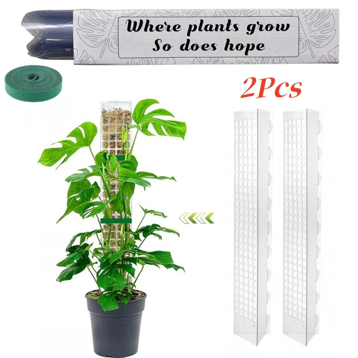 Moss Pole Plastic Plant Stand