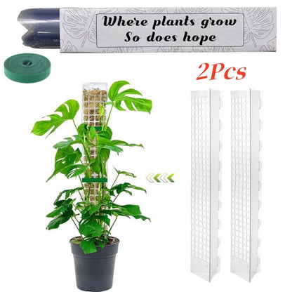 Moss Pole Plastic Plant Stand