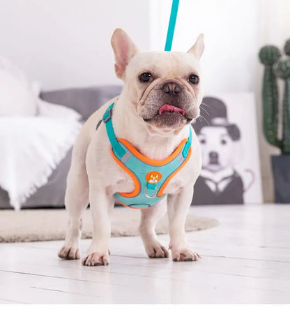 Adjustable No Pull Pet Reflective Harness Leash Set