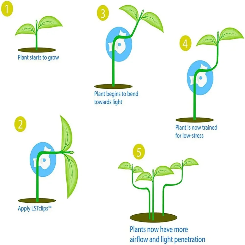 Plant Branches Bender Training Clips