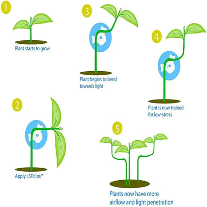 Plant Branches Bender Training Clips