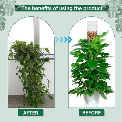 Moss Pole Plastic Plant Stand
