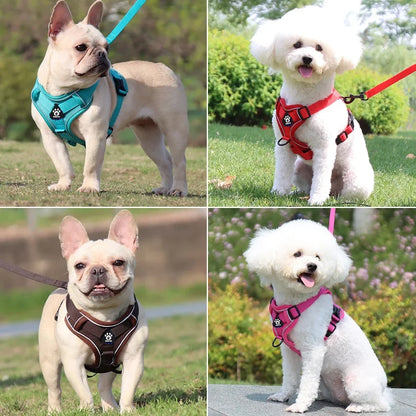 Pet Cat Harness and Leash Set