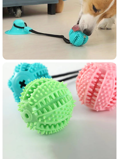 Pet Dogs Grinding Their Teeth Chewing Pet Toys With Sound