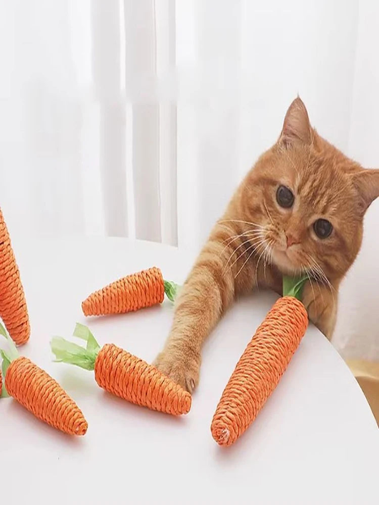 Pet Cat Make Sounds, Carrots, Self-sex, Teething Sticks