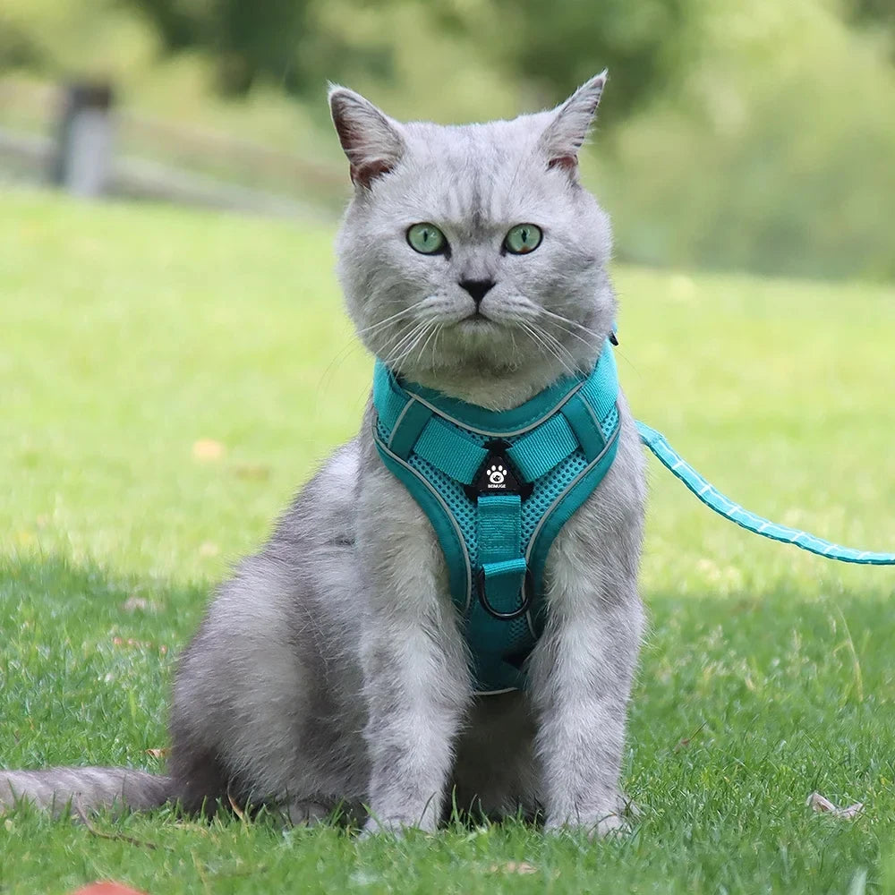 Pet Cat Harness and Leash Set