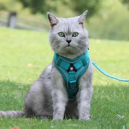 Pet Cat Harness and Leash Set