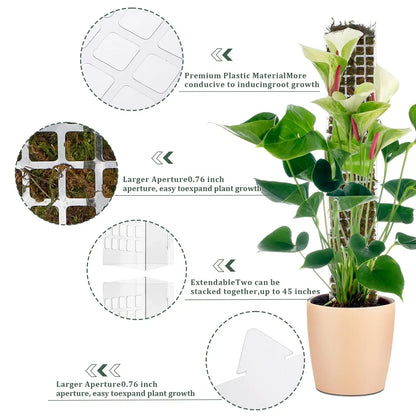 Moss Pole Plastic Plant Stand