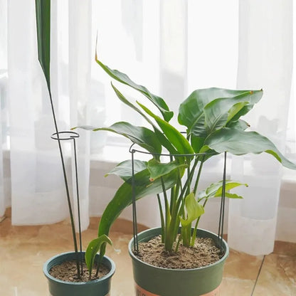 6pcs Tall Plant Support Stakes