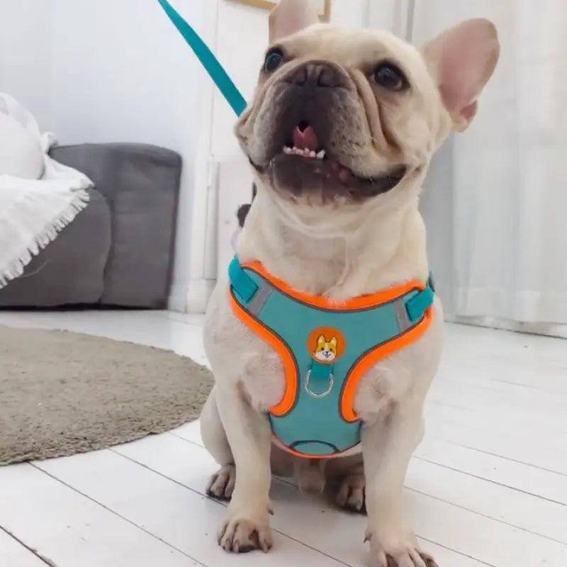 Adjustable No Pull Pet Reflective Harness Leash Set