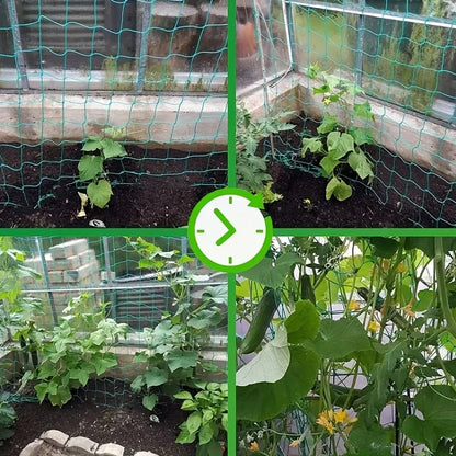 Plant Trellis Pergolas, Heavy-Duty Polyester Grow Net