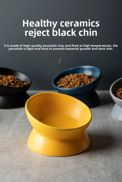 Elevated 15° Tilted Raised Food Feeding Dish Bowl