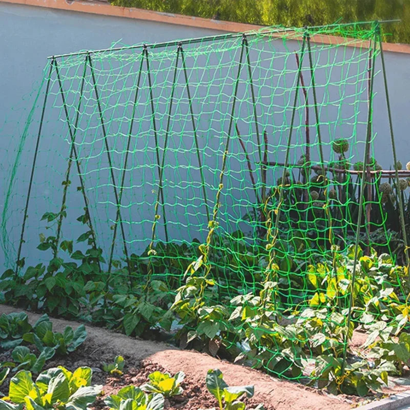 Plant Trellis Pergolas, Heavy-Duty Polyester Grow Net