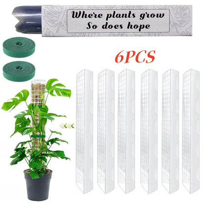 Moss Pole Plastic Plant Stand