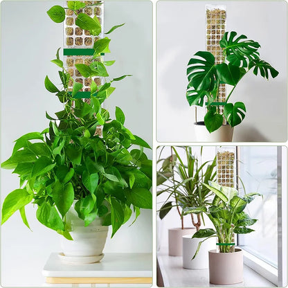 Moss Pole Plastic Plant Stand