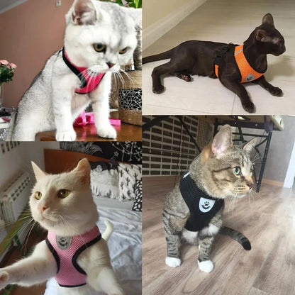Pet Cat Harness Leash Adjustable