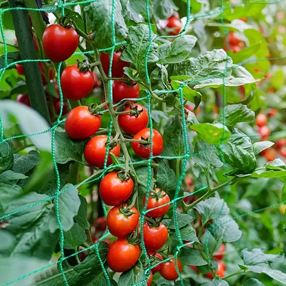 Plant Trellis Pergolas, Heavy-Duty Polyester Grow Net