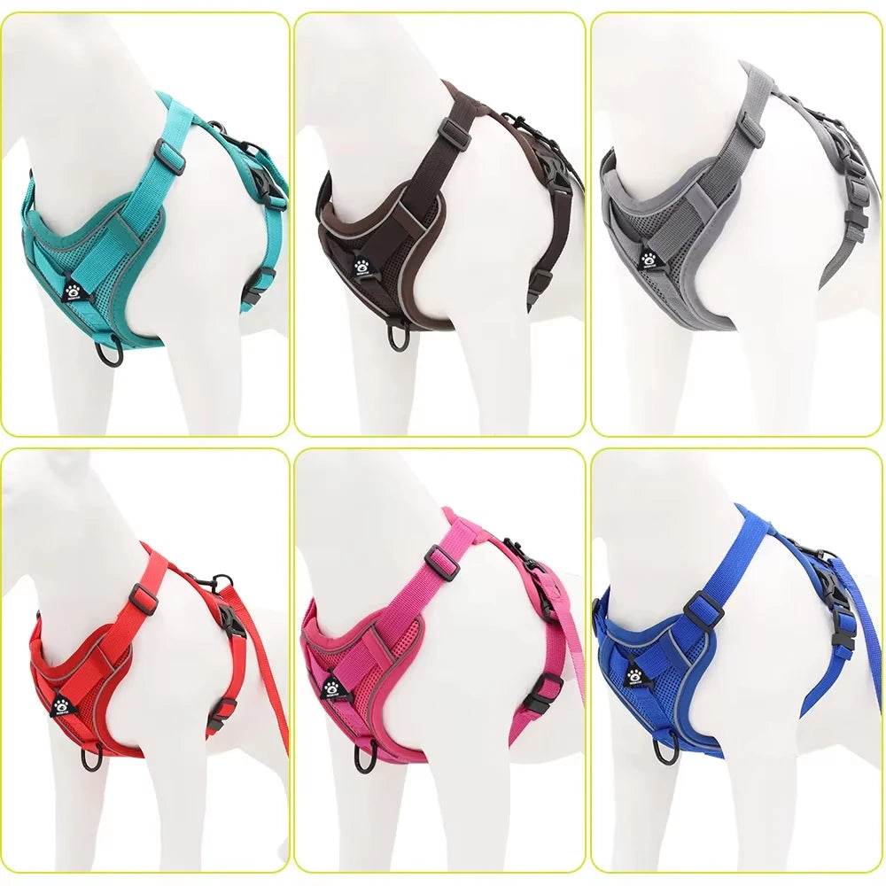 Pet Cat Harness and Leash Set