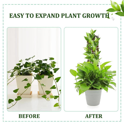 Moss Pole Plastic Plant Stand
