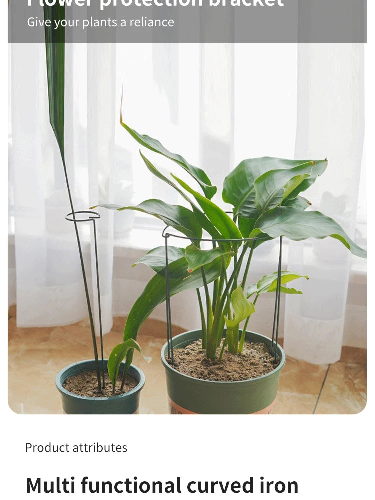 6pcs Tall Plant Support Stakes