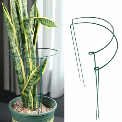 6pcs Tall Plant Support Stakes