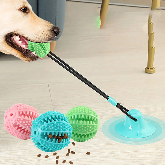 Pet Dogs Grinding Their Teeth Chewing Pet Toys With Sound