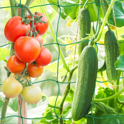 Plant Trellis Pergolas, Heavy-Duty Polyester Grow Net